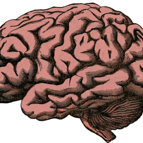 Surgical versus nonsurgical treatment of pituitary apoplexy