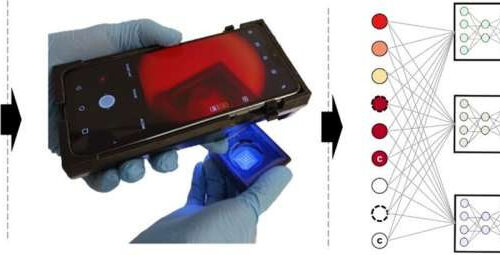 A rapid and inexpensive paper-based test for multiplexed sensing of biomarkers
