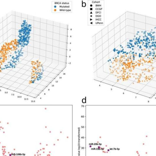 New study suggests simple test could detect breast and ovarian cancer risk without genetic sequencing