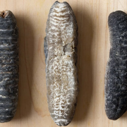 Sea cucumbers may help stave off type 2 diabetes and its complications