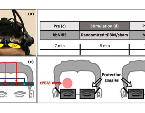 Noninvasive modulation of brain hemodynamic and metabolic states by near-infrared light