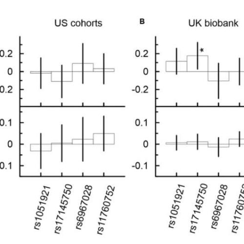 Study: External factors shape genetic predisposition to lipids, Alzheimer’s and heart disease in MLXIPL gene