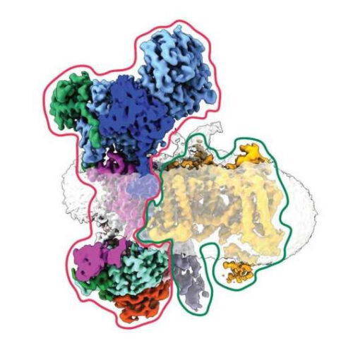 Beating seizures by jamming the cellular circuitry