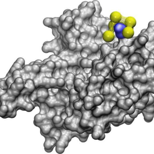 Nanobiotics: AI for discovering where and how nanoparticles bind with proteins