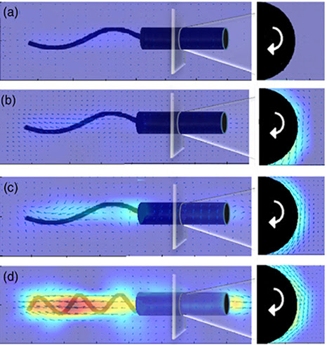 Investigating Bacterial Motion for New Treatment Strategies