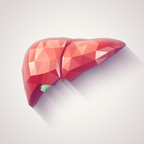 Akero’s NASH drug combined with Ozempic cut liver fat in small study