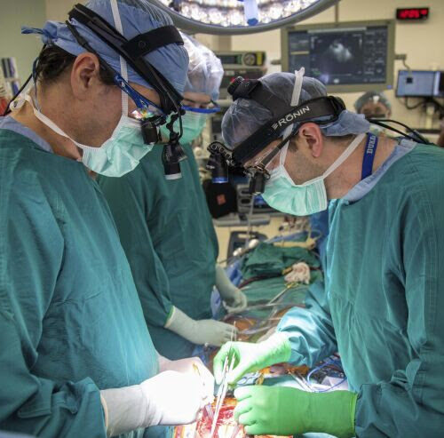 ‘Reanimated’ heart transplant method could save thousands of lives, increase donor hearts