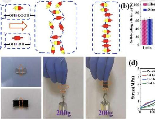 A conductive self-healing hydrogel to create flexible sensors