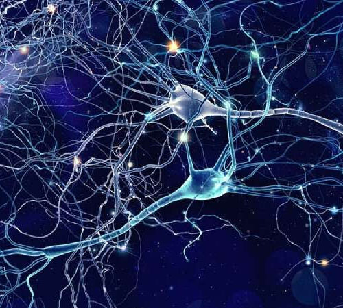 Neuroscientists get a new view on how neurons communicate