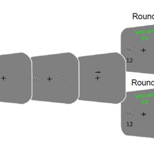 Visual perception is more rational than we think, shows study