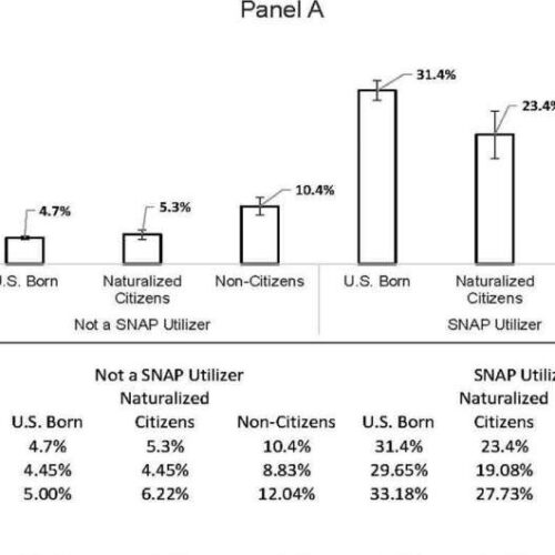 Study: US immigrants particularly vulnerable to food insecurity