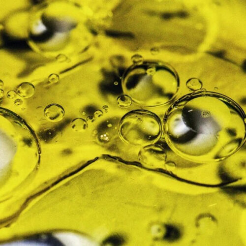 Dementia: Olive oil could boost brain health, according to new study