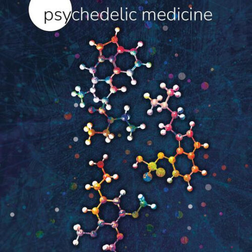 Efficacy and safety of novel MDXX analogues in treating autism spectrum disorder