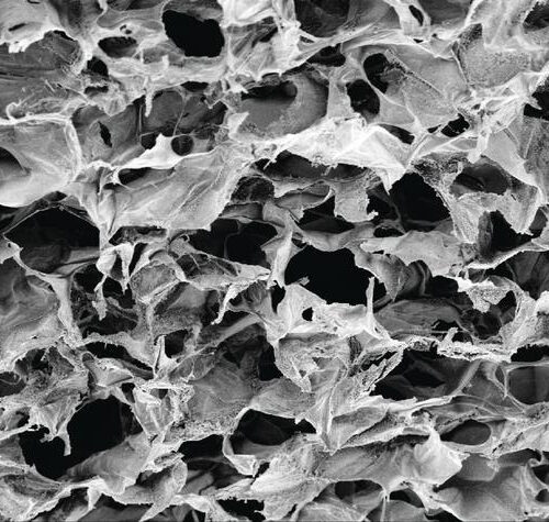 Biomaterial-delivered one-two punch boosts cancer immunotherapy