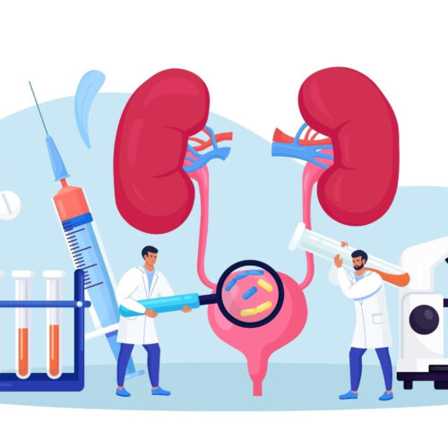 Antibiotic Resistance and Urinary Tract Infections