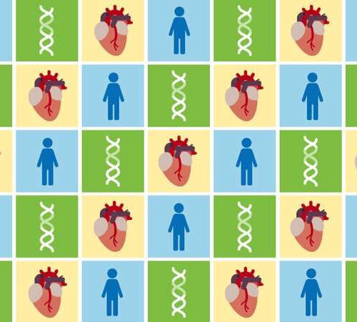 More diverse datasets lead to better genetic risk prediction for heart disease