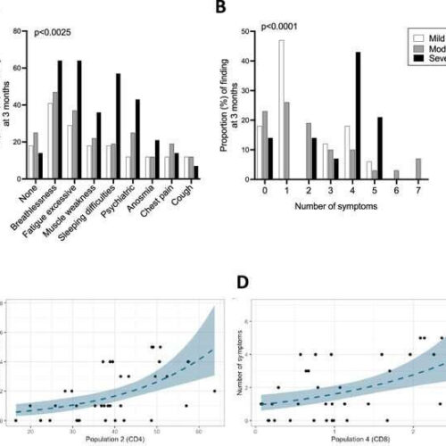 Long COVID not caused by COVID-19 immune inflammatory response, new research finds