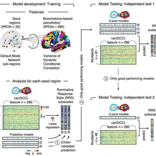 A new model for predicting patterns of persistent negative thinking based on brain connectivity