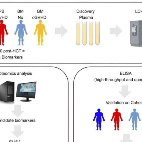 Risk biomarkers for chronic graft-versus-host-disease identified