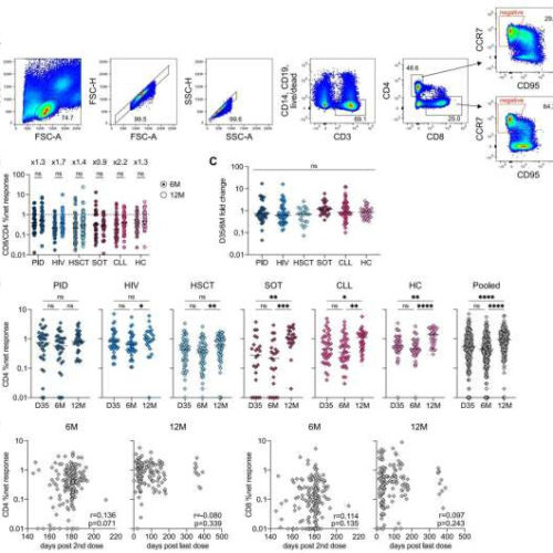 Study: Booster dose of mRNA COVID vaccine prompts strong T cell response in immunocompromised patients