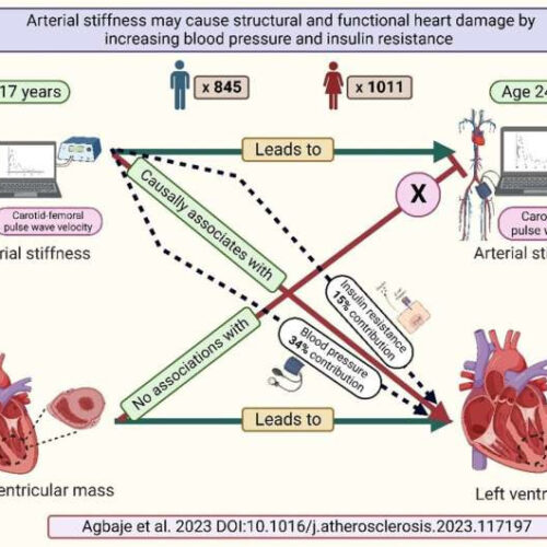 Arterial stiffness may cause and worsen heart damage among adolescents