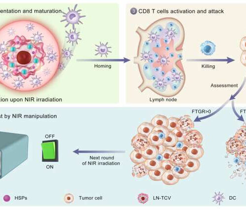 Researchers develop ‘on-demand’ whole tumor cell vaccine against cancer