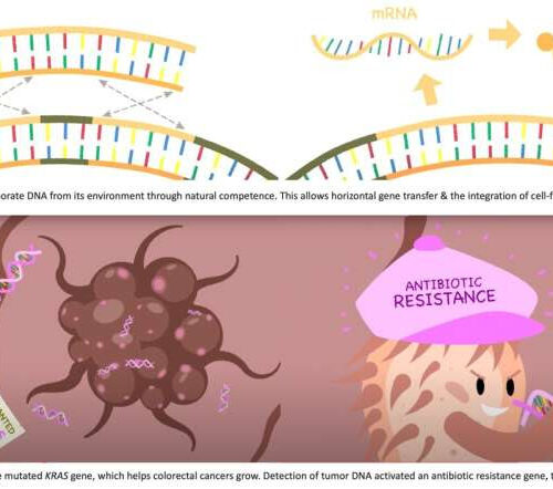Researchers engineer bacteria that can detect tumor DNA