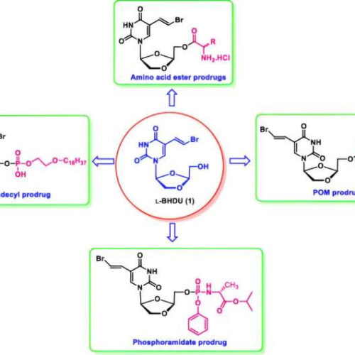 New molecule could treat shingles, herpes viruses