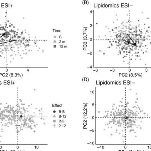 Positive metabolic effects of gastric bypass found to disappear quickly