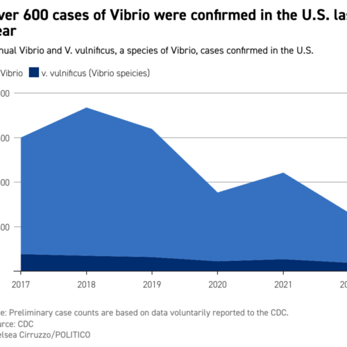 Vibrio cases increasing