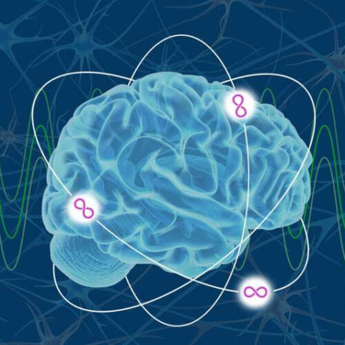 Deficiency in certain brain proteins shown to promote compulsive behavior