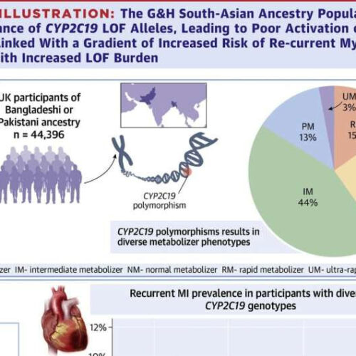Study shows that common medication used to prevent heart attacks may be ineffective for majority of British South Asians