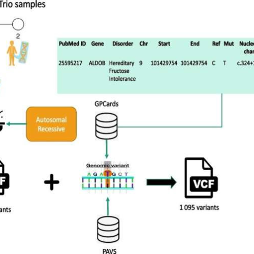 AI-based tool leverages diverse data sources for a new approach to rare disease diagnosis