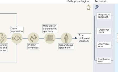 Q&A: The art of diabetes care—why precision medicine leads to better diabetes care