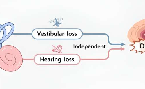 New large-scale study results add to evidence that vestibular loss increases dementia risk