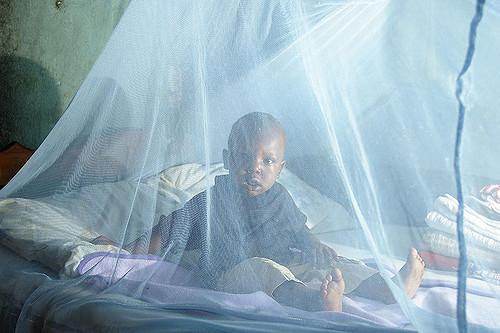 Analysis suggests climate change, population growth could supercharge malaria risk