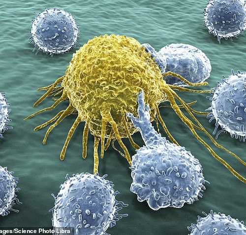 Scientists identify cancer kill ‘switch’ that destroys tumours from the inside out