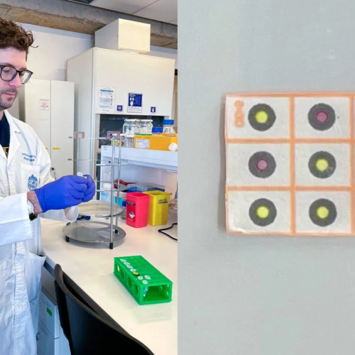 Student Uses Synthetic Biology to Create Low-Cost Diagnostic Tools