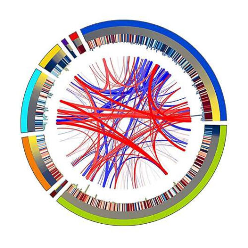 New research shows how cancer rewires a key immune pathway to spread