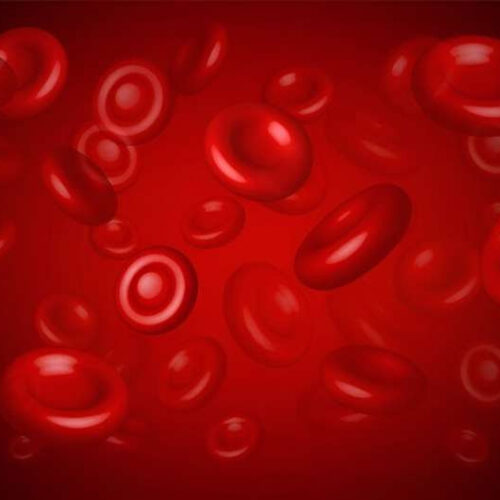 Concizumab may be effective prophylaxis for hemophilia A or B with inhibitors