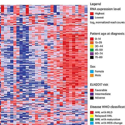 Discovery unlocks potential new arsenal to target leukemia and other cancers