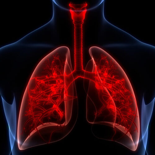 Protein discovery raises prospect of treatment for COPD