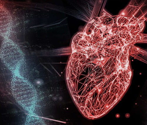 Scientists on the brink of cure for heart disease – with drugs that ALTER your DNA