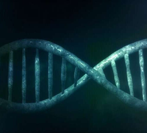 Gene linked to persistent stuttering into adulthood uncovered