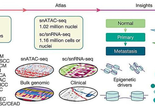 The role of the epigenome in cancer revealed in new study