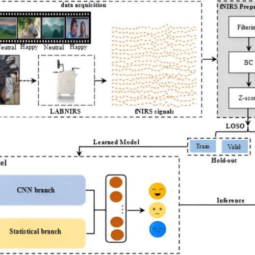 Cross-subject emotion recognition brain-computer interface based on fNIRS and DBJNet