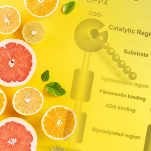 Citrus compounds show zesty promise in type 2 diabetes management