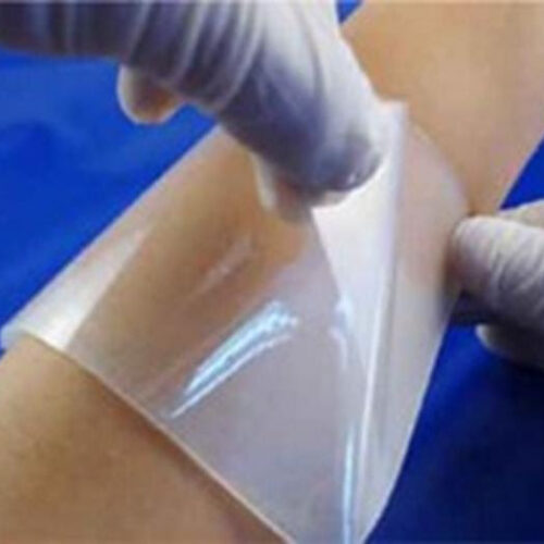 Incheon National University scientists develop new hydrogels for wound management