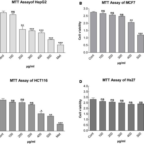 Effect of Methanolic Extract of Dandelion Roots on Cancer Cell Lines and AMP-Activated Protein Kinase Pathway