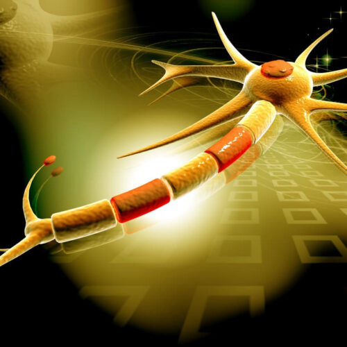 MS drug to treat and repair nerve damage is edging closer to reality